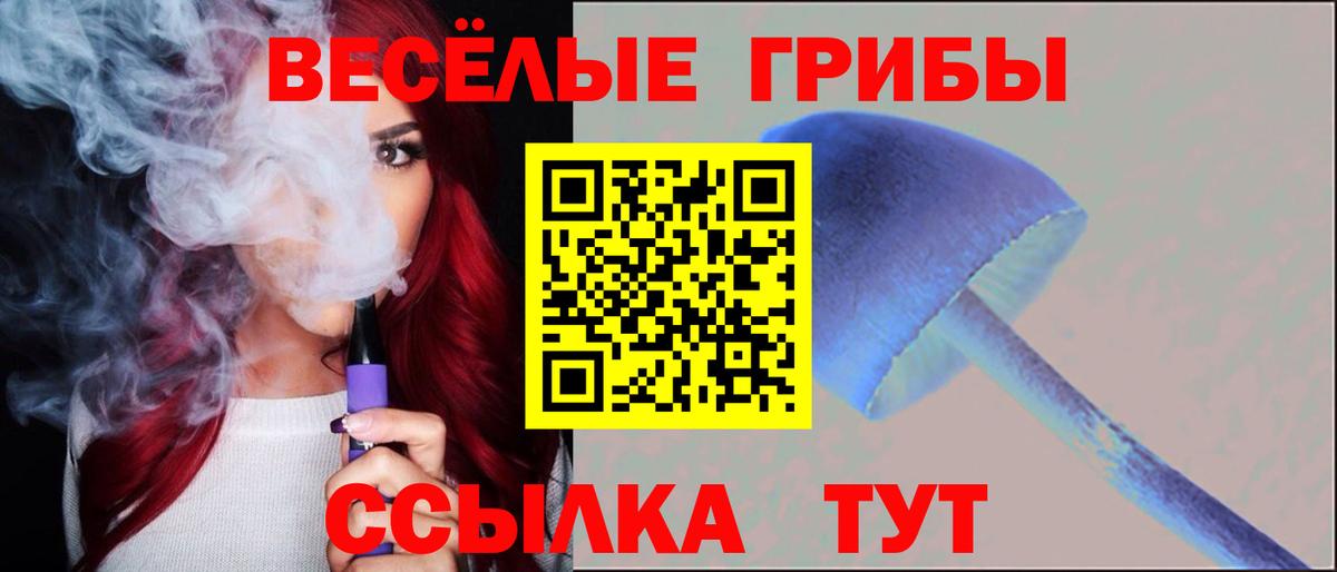 Медногорск  Псилоцибиновые грибы GOLDEN TEACHER  Псилоцибиновые грибы прущие грибы  Вход с VPN 